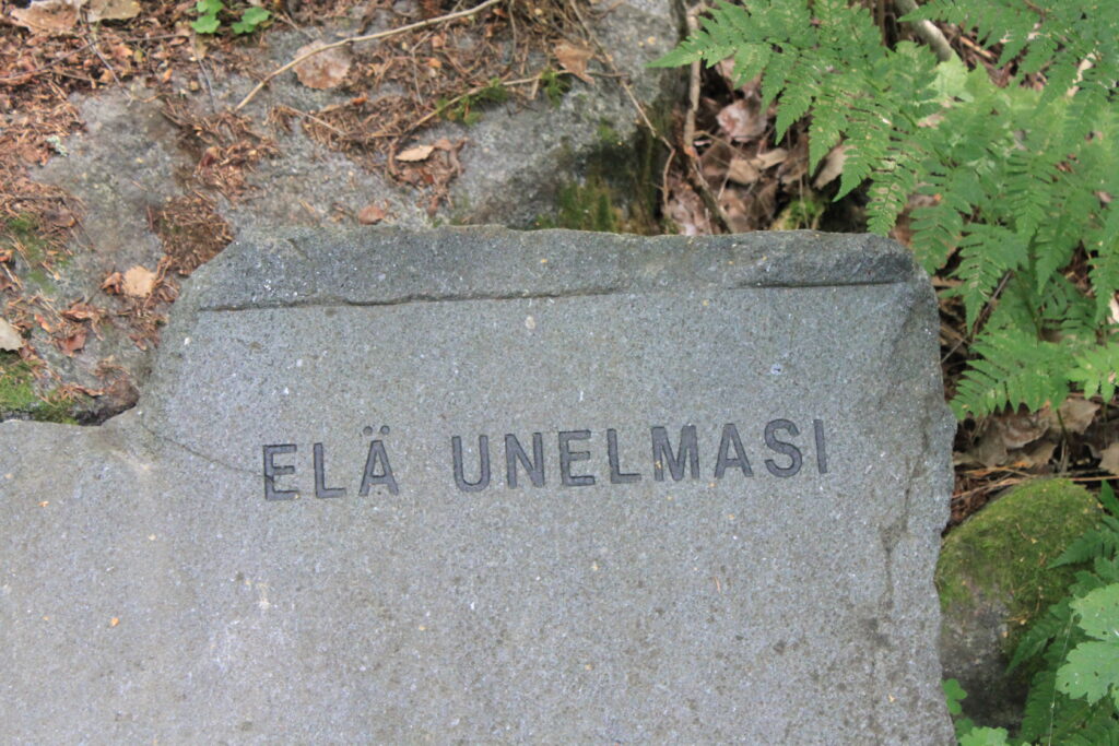 Kuva kivestä, johon on kaiverrettu teksti "Elä unelmasi".