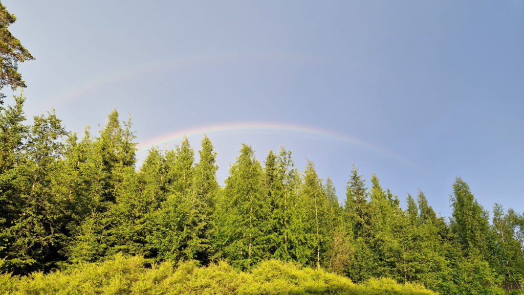 Kuva sateen jälkeen taivaalla näkyvästä sateenkaaresta